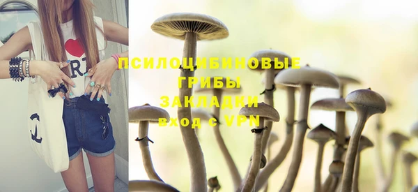твердый Алексеевка