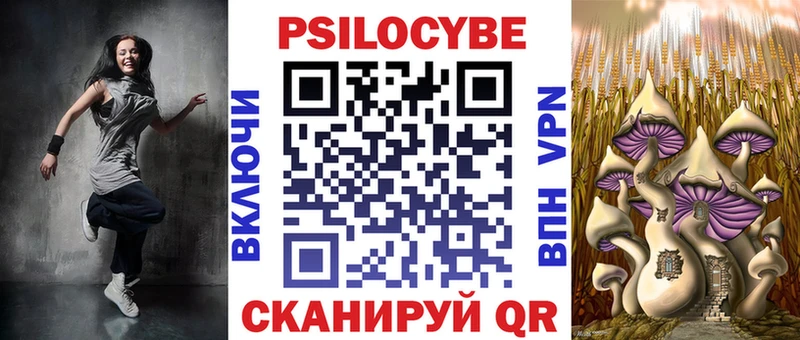 Галлюциногенные грибы Psilocybe  наркота  Удомля 