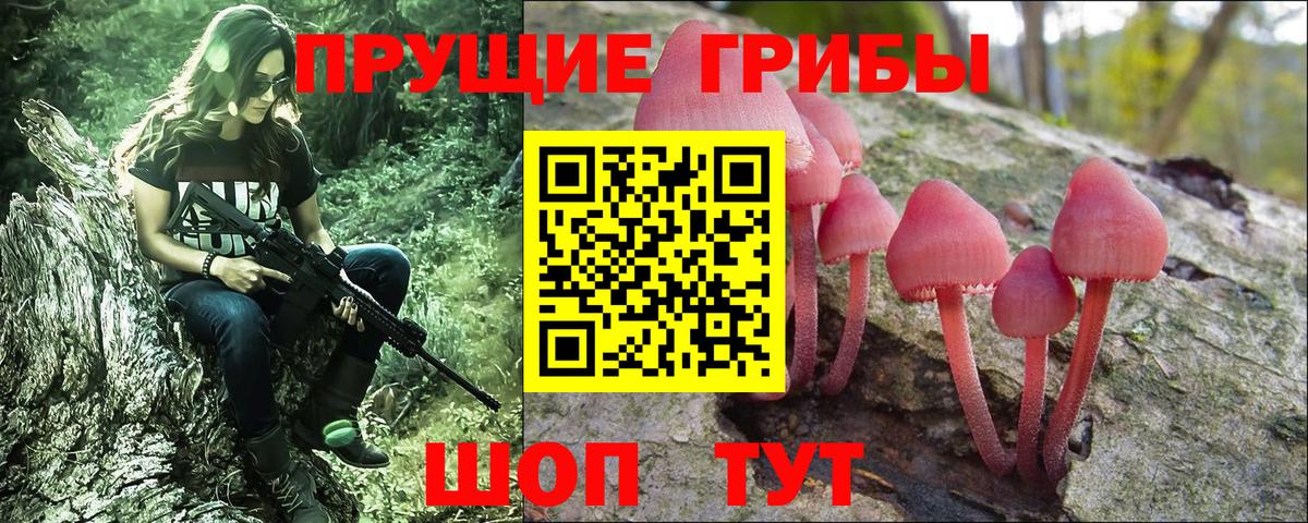 Галлюциногенные грибы Psilocybe Удомля
